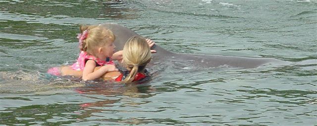 Streicheln wir ihn
Jessica ist ganz begeistert von dem Delfin und streichelt ihn
